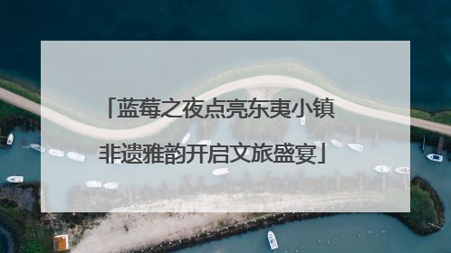 蓝莓之夜点亮东夷小镇 非遗雅韵开启文旅盛宴