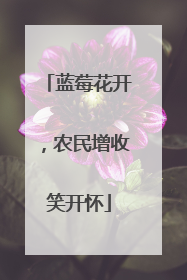 蓝莓花开，农民增收笑开怀