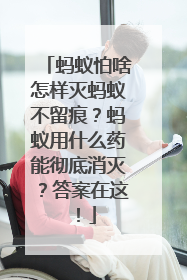 蚂蚁怕啥怎样灭蚂蚁不留痕？蚂蚁用什么药能彻底消灭？答案在这！