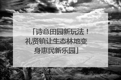 诗意田园新玩法！礼贤镇让生态林地变身惠民新乐园