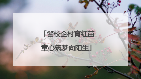 警校企村育红苗 童心筑梦向阳生