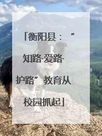 衡阳县：“知路·爱路·护路”教育从校园抓起