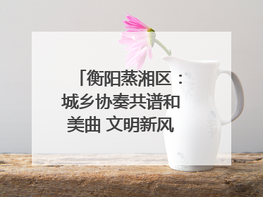 衡阳蒸湘区：城乡协奏共谱和美曲 文明新风劲拂蒸湘地