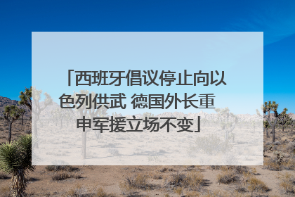 西班牙倡议停止向以色列供武 德国外长重申军援立场不变
