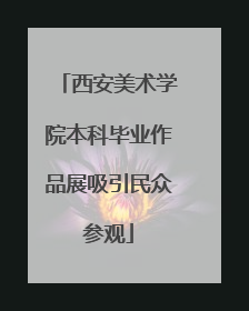 西安美术学院本科毕业作品展吸引民众参观