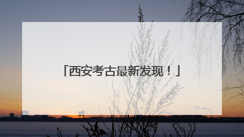 西安考古最新发现！