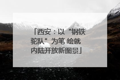 西安：以“钢铁驼队”为笔 绘就内陆开放新图景