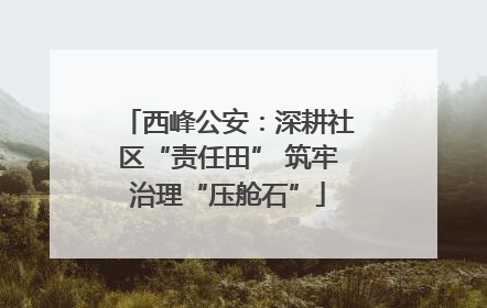 西峰公安：深耕社区“责任田” 筑牢治理“压舱石”