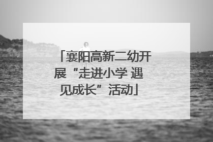 襄阳高新二幼开展“走进小学 遇见成长”活动