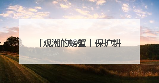 观潮的螃蟹丨保护耕地要打好“文化牌”