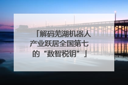 解码芜湖机器人产业跃居全国第七的“数智税钥”