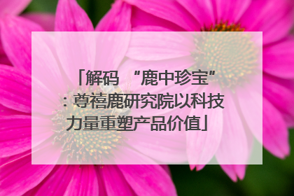 解码 “鹿中珍宝”：尊禧鹿研究院以科技力量重塑产品价值