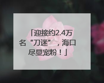 迎接约2.4万名“刀迷”，海口尽显宠粉！