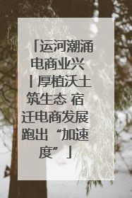 运河潮涌 电商业兴丨厚植沃土筑生态 宿迁电商发展跑出“加速度”