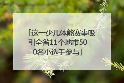 这一少儿体能赛事吸引全省11个地市500名小选手参与