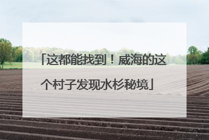这都能找到！威海的这个村子发现水杉秘境