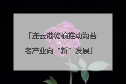 连云港赣榆推动海苔老产业向“新”发展