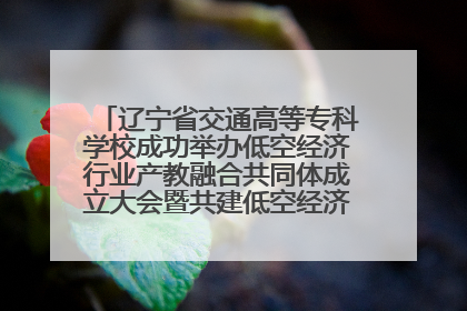 辽宁省交通高等专科学校成功举办低空经济行业产教融合共同体成立大会暨共建低空经济产教融合新生态论坛