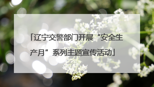 辽宁交警部门开展“安全生产月”系列主题宣传活动