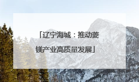 辽宁海城：推动菱镁产业高质量发展
