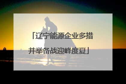 辽宁能源企业多措并举备战迎峰度夏