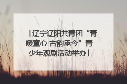 辽宁辽阳共青团“青暖童心 古韵承今”青少年观剧活动举办