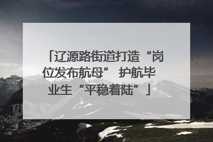 辽源路街道打造“岗位发布航母” 护航毕业生“平稳着陆”