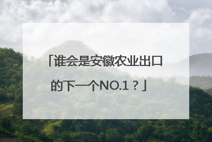 谁会是安徽农业出口的下一个NO.1？