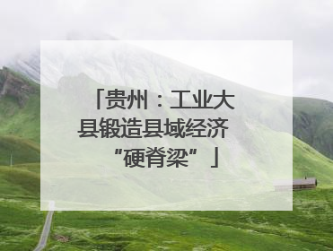 贵州：工业大县锻造县域经济“硬脊梁”