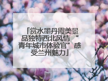 赏水墨丹霞美景 品独特西北风情 “青年城市体验官”感受兰州魅力