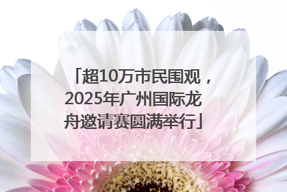 超10万市民围观，2025年广州国际龙舟邀请赛圆满举行