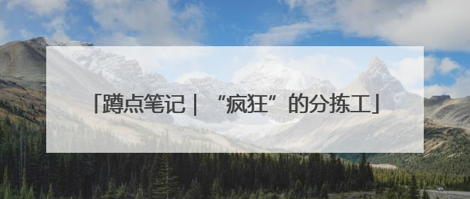蹲点笔记｜“疯狂”的分拣工