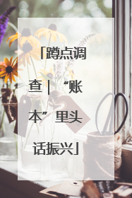 蹲点调查｜“账本”里头话振兴