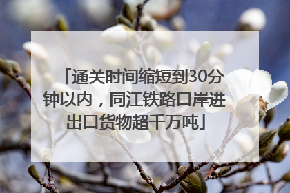 通关时间缩短到30分钟以内，同江铁路口岸进出口货物超千万吨