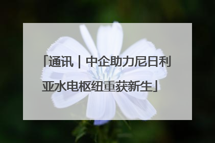 通讯｜中企助力尼日利亚水电枢纽重获新生