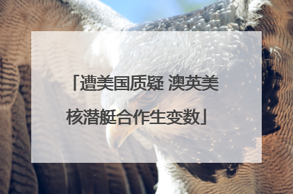 遭美国质疑 澳英美核潜艇合作生变数