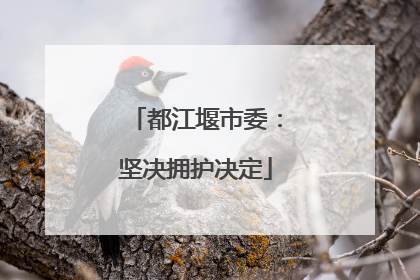 都江堰市委：坚决拥护决定