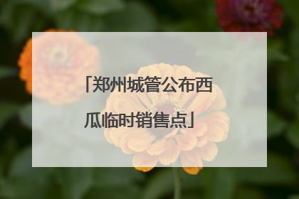 郑州城管公布西瓜临时销售点