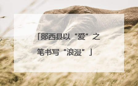 郧西县以“爱”之笔书写“浪漫”
