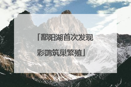 鄱阳湖首次发现彩鹮筑巢繁殖