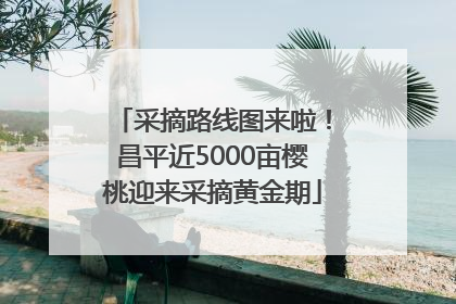 采摘路线图来啦！昌平近5000亩樱桃迎来采摘黄金期