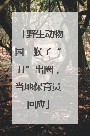 野生动物园一猴子“丑”出圈，当地保育员回应