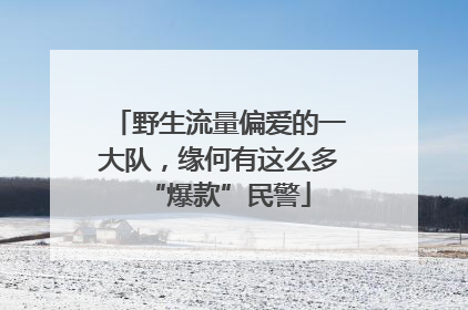 野生流量偏爱的一大队，缘何有这么多“爆款”民警