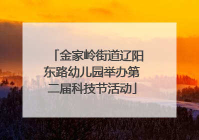金家岭街道辽阳东路幼儿园举办第二届科技节活动