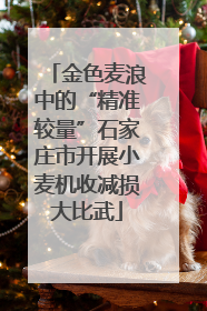 金色麦浪中的“精准较量”石家庄市开展小麦机收减损大比武