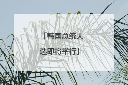 韩国总统大选即将举行