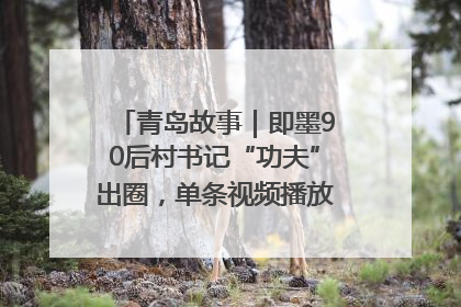 青岛故事｜即墨90后村书记“功夫”出圈，单条视频播放量过600万