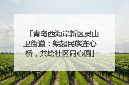 青岛西海岸新区灵山卫街道：架起民族连心桥，共绘社区同心圆