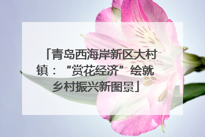 青岛西海岸新区大村镇：“赏花经济”绘就乡村振兴新图景