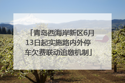 青岛西海岸新区6月13日起实施路内外停车欠费联动追缴机制